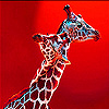 play Lovely Giraffe Family Puzzle