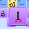 play Amino Acid Match