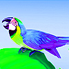 play Leaf Eating Parrot Puzzle