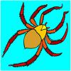 play Spider Coloring