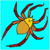 play Spider Coloring