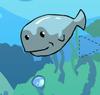 play Little Whale Austin