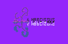 play Narcissus