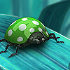 play Green Ladybug Puzzle
