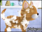 Kitty Grooming Salon