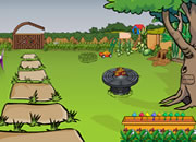 play Backyard Escape