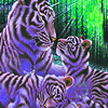 play Blue Tigers In The Woods Puzzle