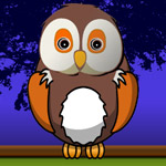 play Successful Owl