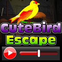 Cute Bird Escape Walkthrough