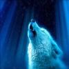 play Howling Wolf