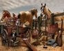 play Midnight Cow Boy