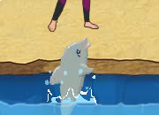 play My Dolphin Show 3