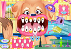 play Puppy Dental Care