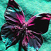 Pink Paint Butterfly Puzzle