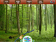 play Hidden Targets Forest