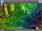 play Rainbow Forest Escape
