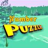 play Number Puzzle