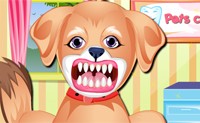 play Puppy Dental Care