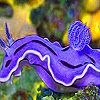 play Purple Marine Reptile Puzzle