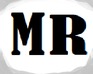play Mega Racing I