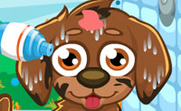 play Cute Care Puppy