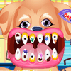 Puppy Dental Care