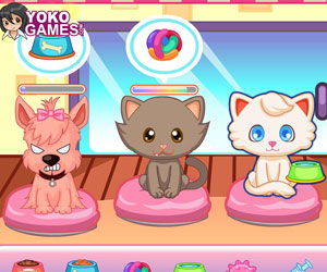 play Pet Shop Management