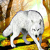 play Old Wild Wolves Puzzle