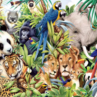 Find The Spot-Jungle Animals