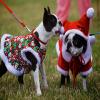 play Happy Holidays