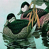 Green Ducks In The Lake Puzzle