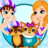 play Yorkie Lover Secrets