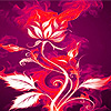 Pink Flame Roses Puzzle