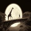 play Lovely Walk