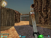 play Half Life V