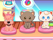 play Pet Shop Management