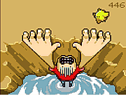 play No Birdie No!