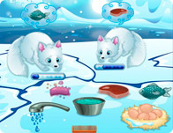 play Arctic Foxes