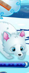 play Arctic Foxes