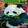 play Hungry Panda Puzzle