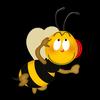 play Angry Bee