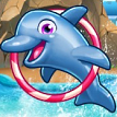 play Dolphin Show 3