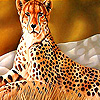 play Wild Animal In The Zoo Puzzle