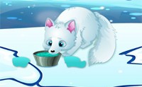play Arctic Foxes