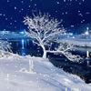 play Zimushka-Winter