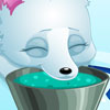 play Arctic Foxes