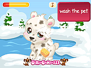 play Polar Bear Care