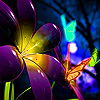 play Purple Flower Garden Puzzle