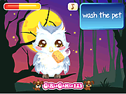 play Owl Care