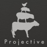 play Projective